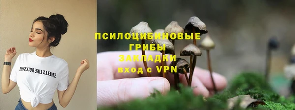 дурь Аркадак