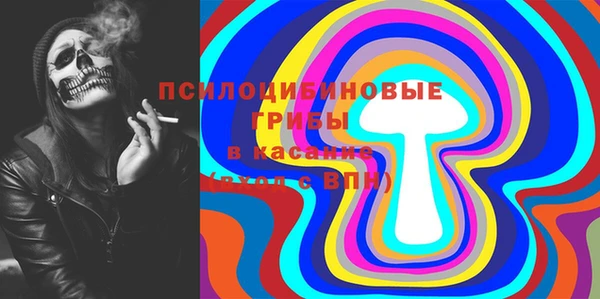 не бодяженный Арсеньев