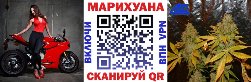 Бошки марихуана гибрид  Салехард 